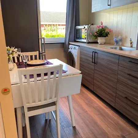 Comfortable Apartment In A Quiet Area In The City Center Skien Exterior photo