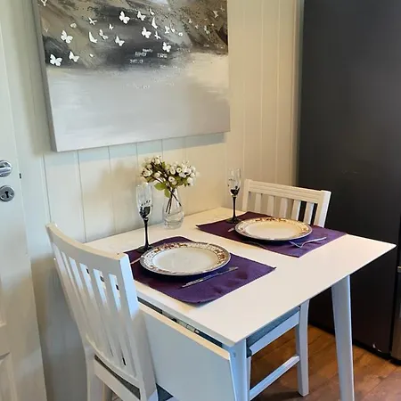 Comfortable Apartment In A Quiet Area In The City Center Skien Exterior photo