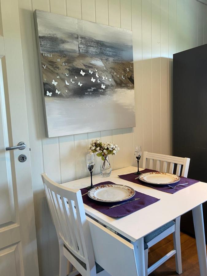 Comfortable In A Quiet Area In The Center * Skien